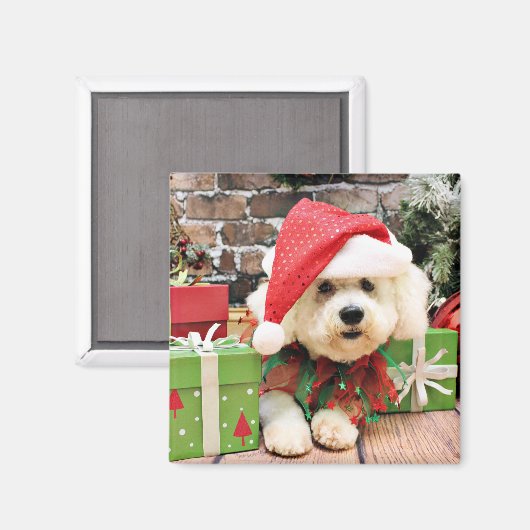 Weihnachten - Bichon Frise - Daisy Magnet (Vorderseite/Rückseite)