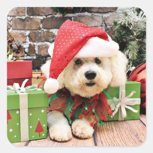 Weihnachten - Bichon Frise - Daisy Quadratischer Aufkleber (Vorderseite)