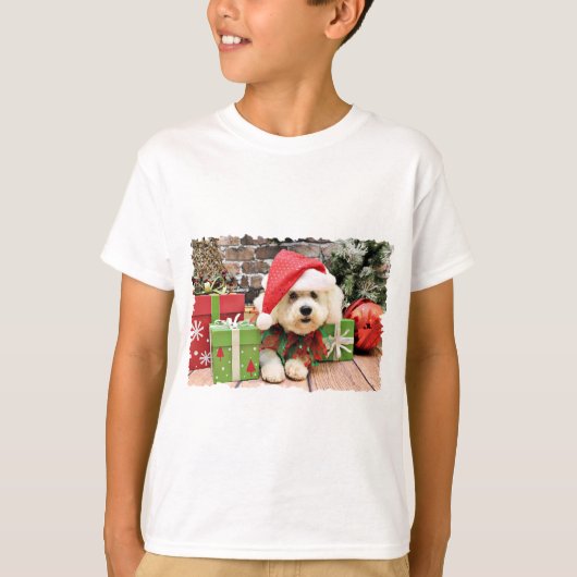 Weihnachten - Bichon Frise - Gänseblümchen T-Shirt (Vorderseite)
