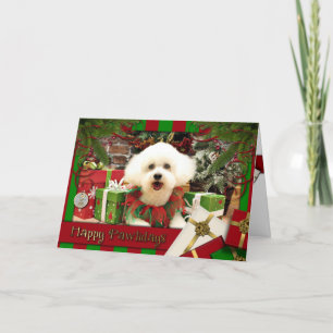 Weihnachten - Bichon Frise - Lilly