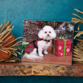 Weihnachten - Bichon Frise - Mia Fotoplatte (Seite)