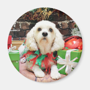 Weihnachten - Bichon Frise X - Maya Magnet
