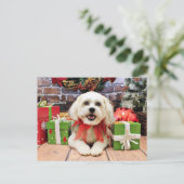 Weihnachten - Bichon X - Bella (Stehend Vorderseite)