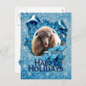 Weihnachten - Blaue Schneeflocke - Poodle - Schoko (Vorne/Hinten)