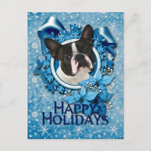 Weihnachten - Blaue Schneeflocken - Boston Terrier (Vorderseite)