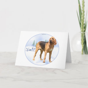Weihnachten Bloodhound