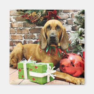 Weihnachten - Bluthund - Penney Magnet