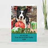 Weihnachten - Border-Collie - Yaeger (Vorderseite)
