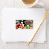 Weihnachten - Border Collie - Yaeger Adressaufkleber (Insitu)
