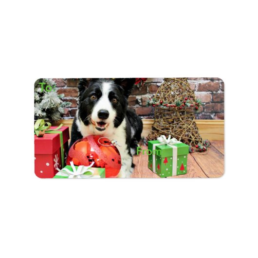 Weihnachten - Border Collie - Yaeger Adressaufkleber (Vorne)