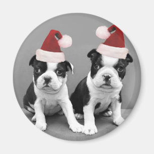 Weihnachten-Boston-Terrier Magnet