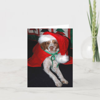 WEIHNACHTEN BRETAGNE