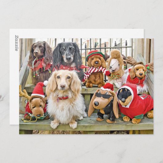 Weihnachten bringt die ganze Familie zusammen (Vorne/Hinten)