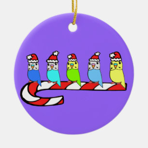 Weihnachten Budgies gehockt auf Zuckerstange Keramikornament