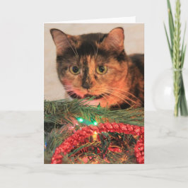 Weihnachten Calico, Cat mag Lichter! Blanke Noten!