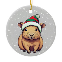Weihnachten Capybara