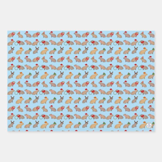 Weihnachten Capybara Niedlich Zoo Tier HandGezeich Geschenkpapier Set (Vorderseite 3)