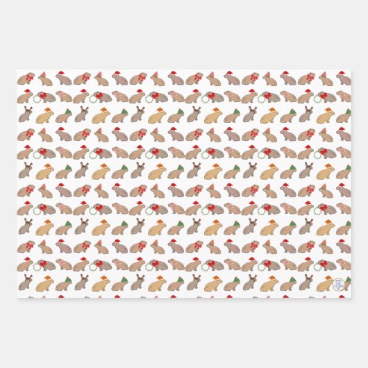 Weihnachten Capybara Niedlich Zoo Tier HandGezeich Geschenkpapier Set (Vorderseite)