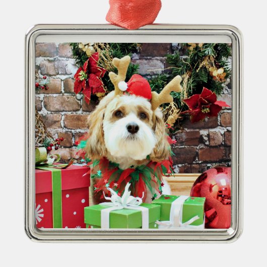 Weihnachten - Cavachon - maximal Silbernes Ornament (Vorne)