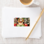 Weihnachten - Cavalier King Charles Spaniel Maveri Adressaufkleber (Insitu)