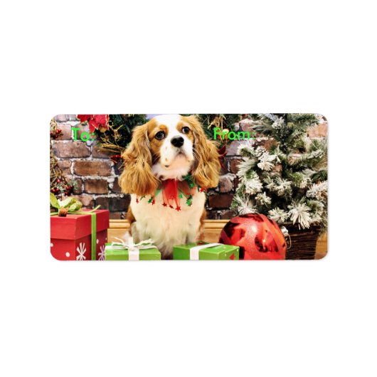 Weihnachten - Cavalier King Charles Spaniel Maveri Adressaufkleber (Vorne)