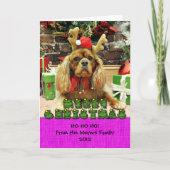 Weihnachten - Cavalier King Charles Spaniel - Meye (Vorderseite)