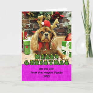 Weihnachten - Cavalier King Charles Spaniel - Meye