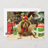 Weihnachten - Cavalier King Charles Spaniel - Meye (Vorne/Hinten)