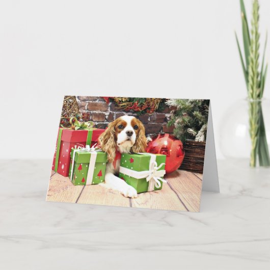 Weihnachten - Cavalier King Charles Spaniel - Popp (Vorderseite)