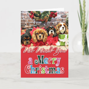 Weihnachten - Cavalier - Süßes Erbsen, Lily, Rose