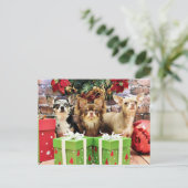 Weihnachten - Chihuahua - Blau - Wertvoll - Yogi (Stehend Vorderseite)