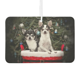 Weihnachten Chihuahua ist in einem roten Korb Autolufterfrischer