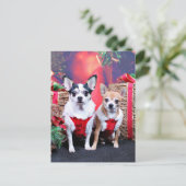 Weihnachten - Chihuahua - Moo Moo und Ginger (Stehend Vorderseite)