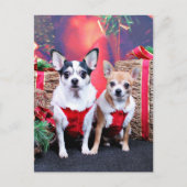 Weihnachten - Chihuahua - Moo Moo und Ginger (Vorderseite)