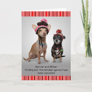 Weihnachten Chihuahuas