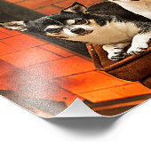 Weihnachten Chihuahuas Fotodruck (Ecke)