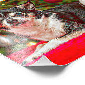 Weihnachten Chihuahuas Fotodruck (Ecke)