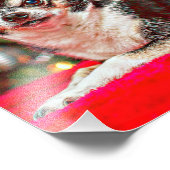 Weihnachten Chihuahuas Fotodruck (Ecke)