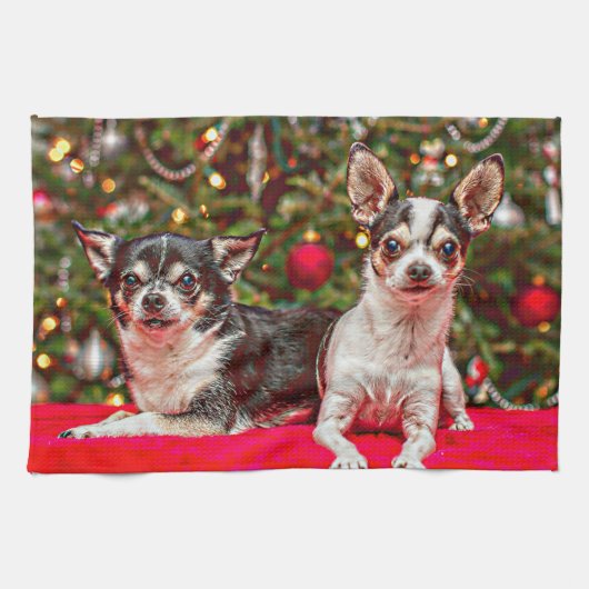 Weihnachten Chihuahuas Geschirrtuch (Horizontal)