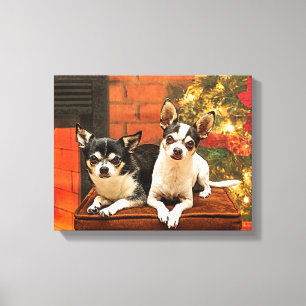 Weihnachten Chihuahuas Leinwanddruck