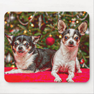 Weihnachten Chihuahuas Mousepad