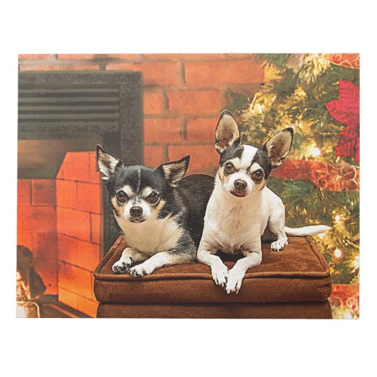 Weihnachten Chihuahuas Notizblock (Vorderseite)