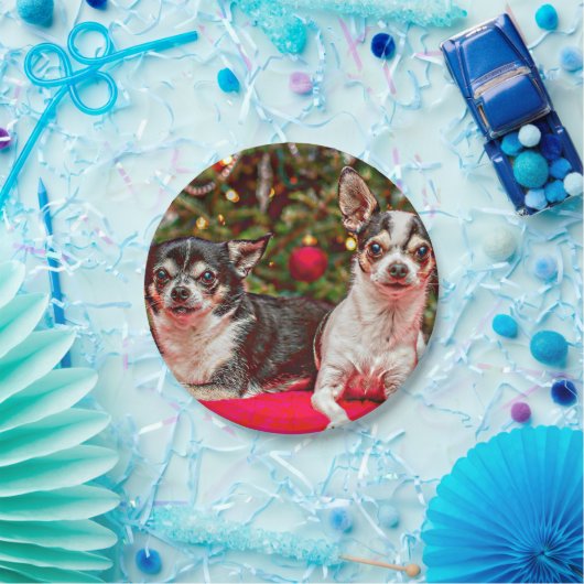 Weihnachten Chihuahuas Pappteller (Party)