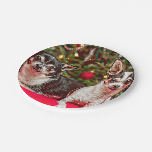 Weihnachten Chihuahuas Pappteller (Schrägansicht)