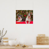 Weihnachten Chihuahuas Poster (Küche)