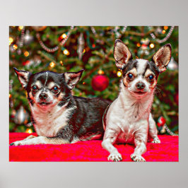 Weihnachten Chihuahuas Poster