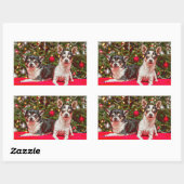 Weihnachten Chihuahuas Rechteckiger Aufkleber (Blatt)