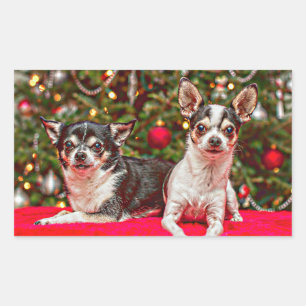 Weihnachten Chihuahuas Rechteckiger Aufkleber