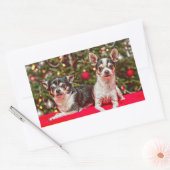 Weihnachten Chihuahuas Rechteckiger Aufkleber (Umschlag)