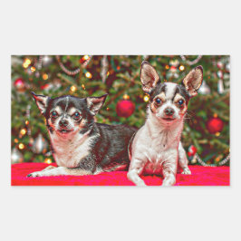 Weihnachten Chihuahuas Rechteckiger Aufkleber